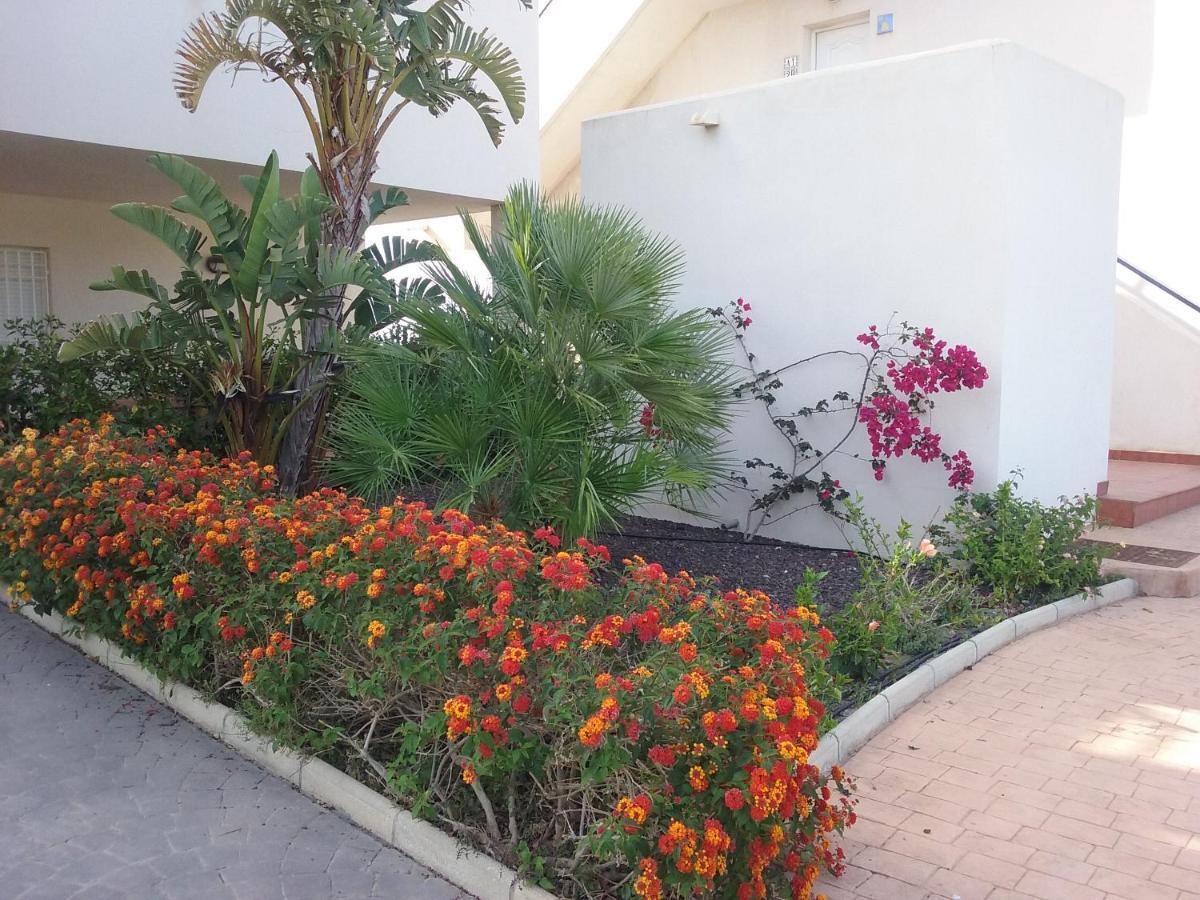 Apartamento Junto Al Mar En La Costa De Almeria El Pozo del Esparto Esterno foto